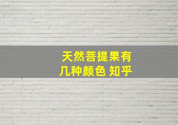 天然菩提果有几种颜色 知乎